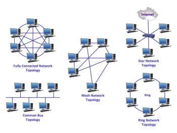 Common Network Topologies Diagram