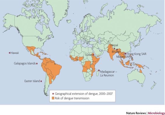 C:UsersAdminDesktopdengueimages2000-2007 global distribution.jpg