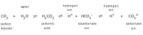 Image result for carbon dioxide and distilled water equation