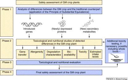 Image result for Safety assessment strategies for genetically modified (GM)-crop-derived foods. Tiered approach for data generation and subsequent safety assessment of genetically modified (GM)-derived foods.