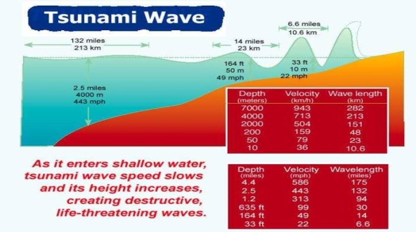 Image result for dec 26 2004 tsunami height of tides