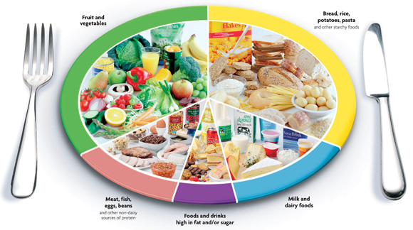 Image result for BALANCE PLATE OF FOOD