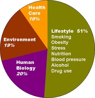 Image result for ECONOMIC BURDEN OF ILL HEALTH PIE CHART UK
