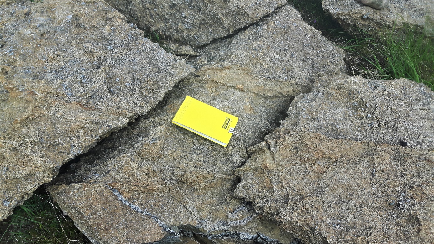 A close up of a rock

Description generated with very high confidence