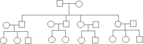 Image result for blank pedigree chart