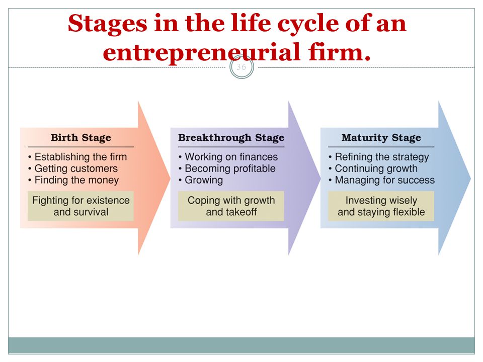 Image result for entrepreneurial ventures diagram