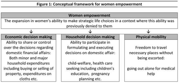 Conceptual framework of microfinance and women empowerment : imageको लागि तस्बिर परिणाम