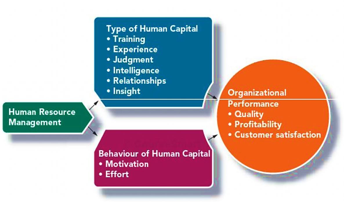 What does Human Resources do for a Company?
